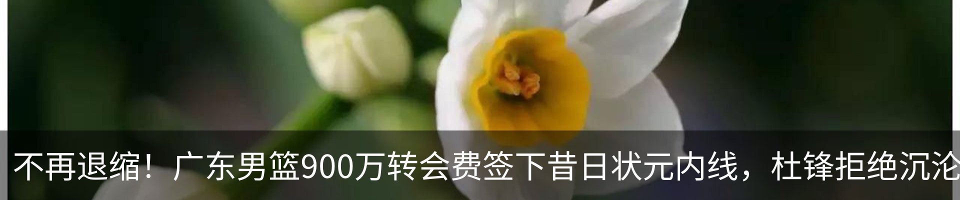 资讯动态