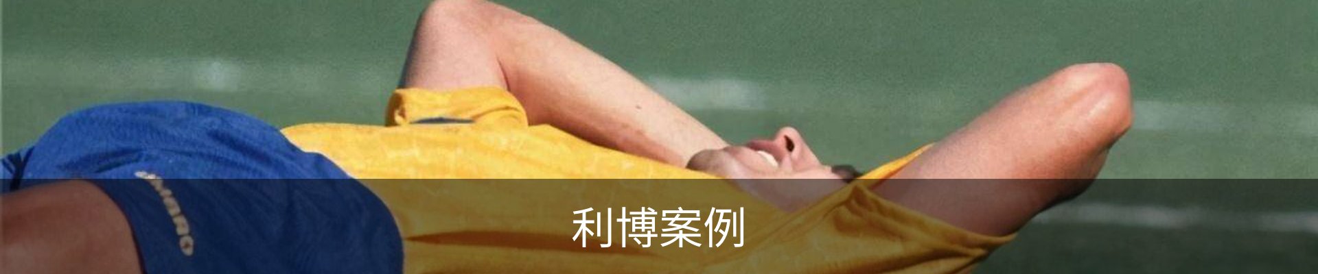 利博案例